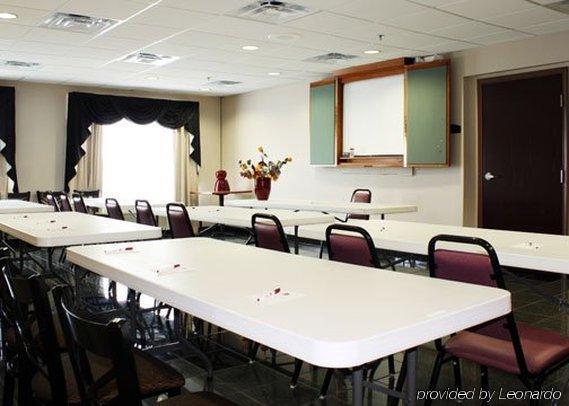 Comfort Suites Wixom Servizi foto